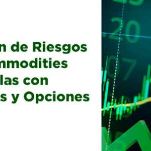 3 Gestion de Riesgos en Commodities