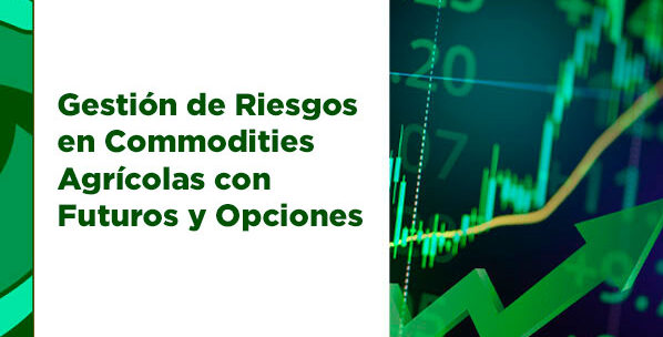 3 Gestion de Riesgos en Commodities