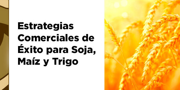 4 Estrategias Comerciales de Exido para Soja