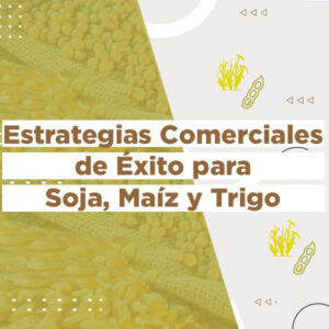 600x600 Gestión de Riesgos en Commodities Agrícolas con Futuros y Opciones 2025