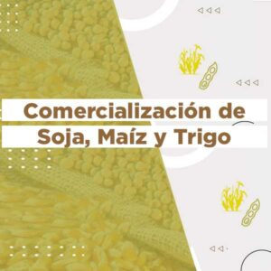 600x600 Gestión de Riesgos en Commodities Agrícolas con Futuros y Opciones