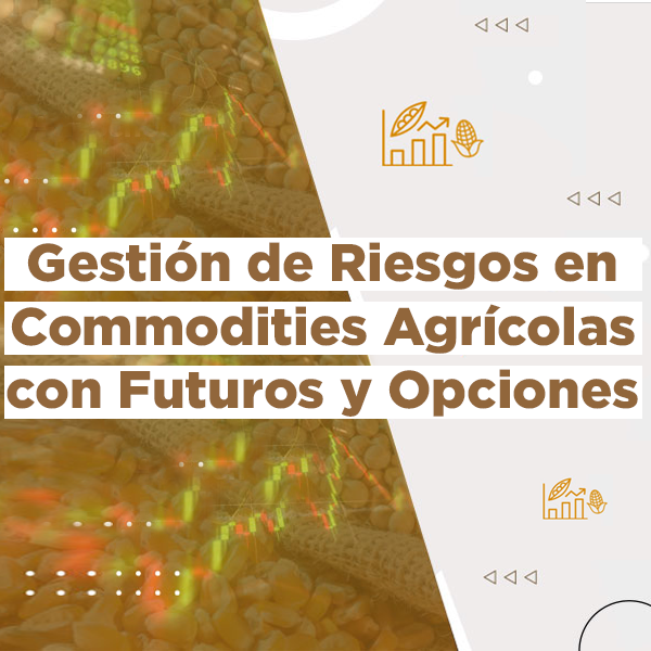 600x600 Gestión de Riesgos en Commodities Agrícolas con Futuros y Opciones