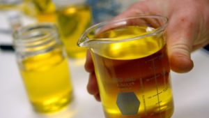biodiesel2