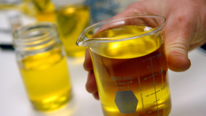 biodiesel2