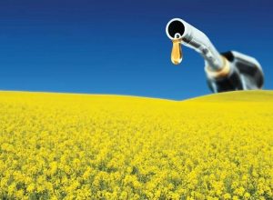Biodiesel WEO2