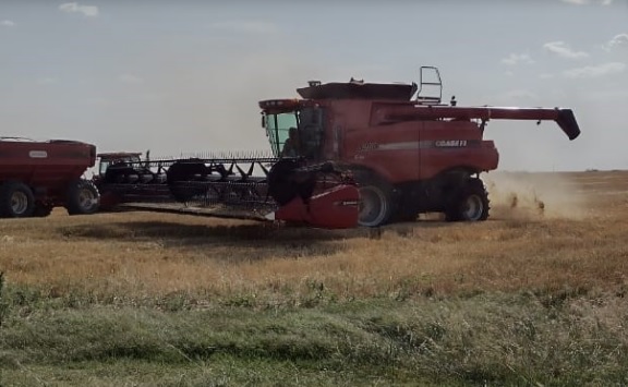 Trigo /Bolsa de Córdoba