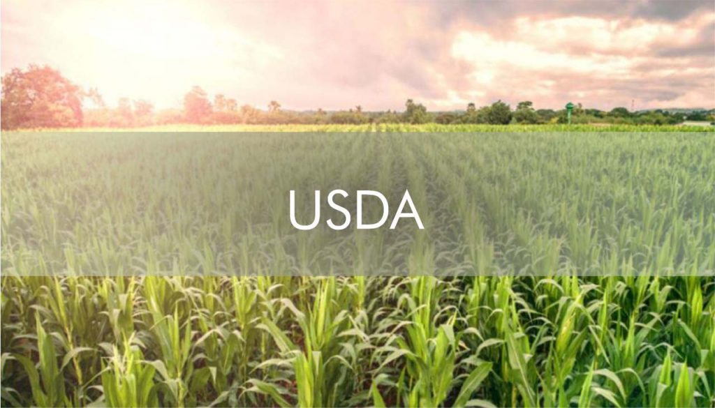USDA PLATAFORMA FINAL OOKOKOKOK