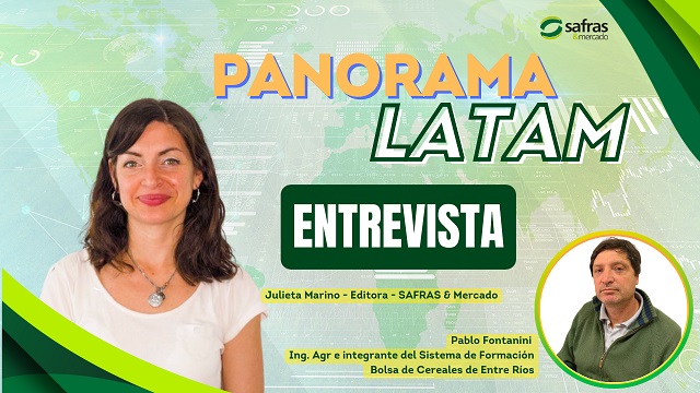 Panorama Latam