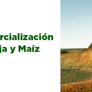 2 Comercializacion de Soja y Maiz