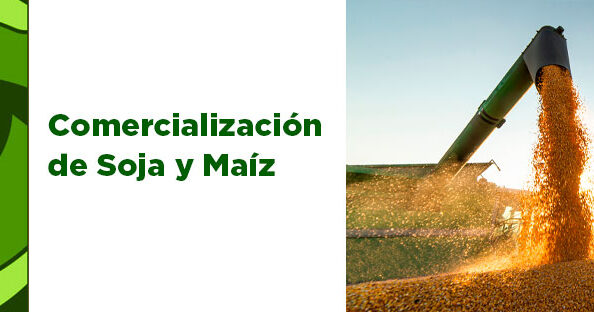 2 Comercializacion de Soja y Maiz