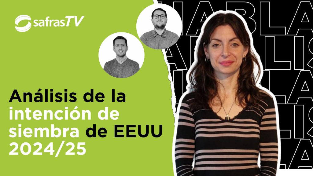 YT Thumb Latam new (14)