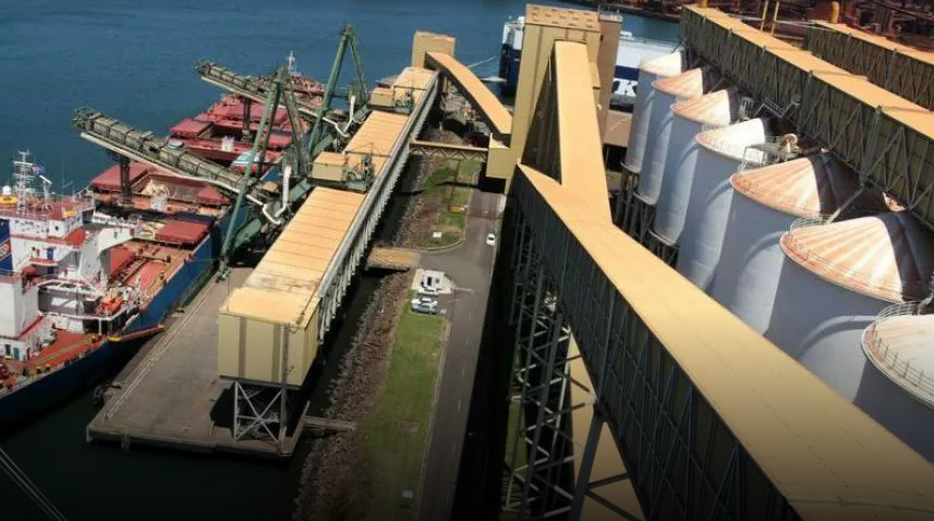 Puerto de Rosario carga