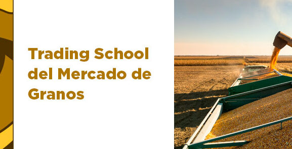 1 Trading School del Mercado