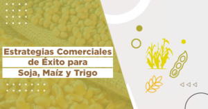 1 Curso online Estrategias Comerciales de Éxito para Soja maíz y trigo