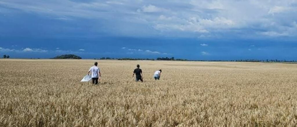 Agrotour Bahia Blanca / Safras News, Horacio Vera