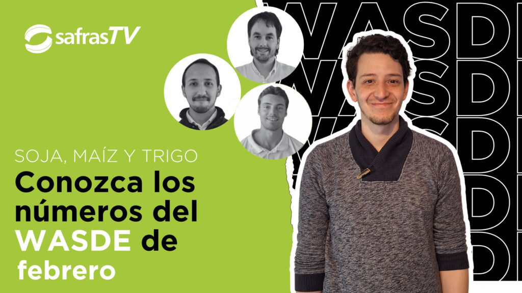 YT Thumb Latam new (24) (1)