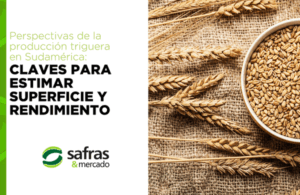 Blog Safras Latam (695 x 390 px) (600 x 390 px) (2)