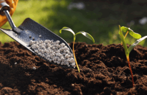 Blog Safras Latam (695 x 390 px) (600 x 390 px) (8) Blog Safras Latam (695 x 390 px) (600 x 390 px) (8)