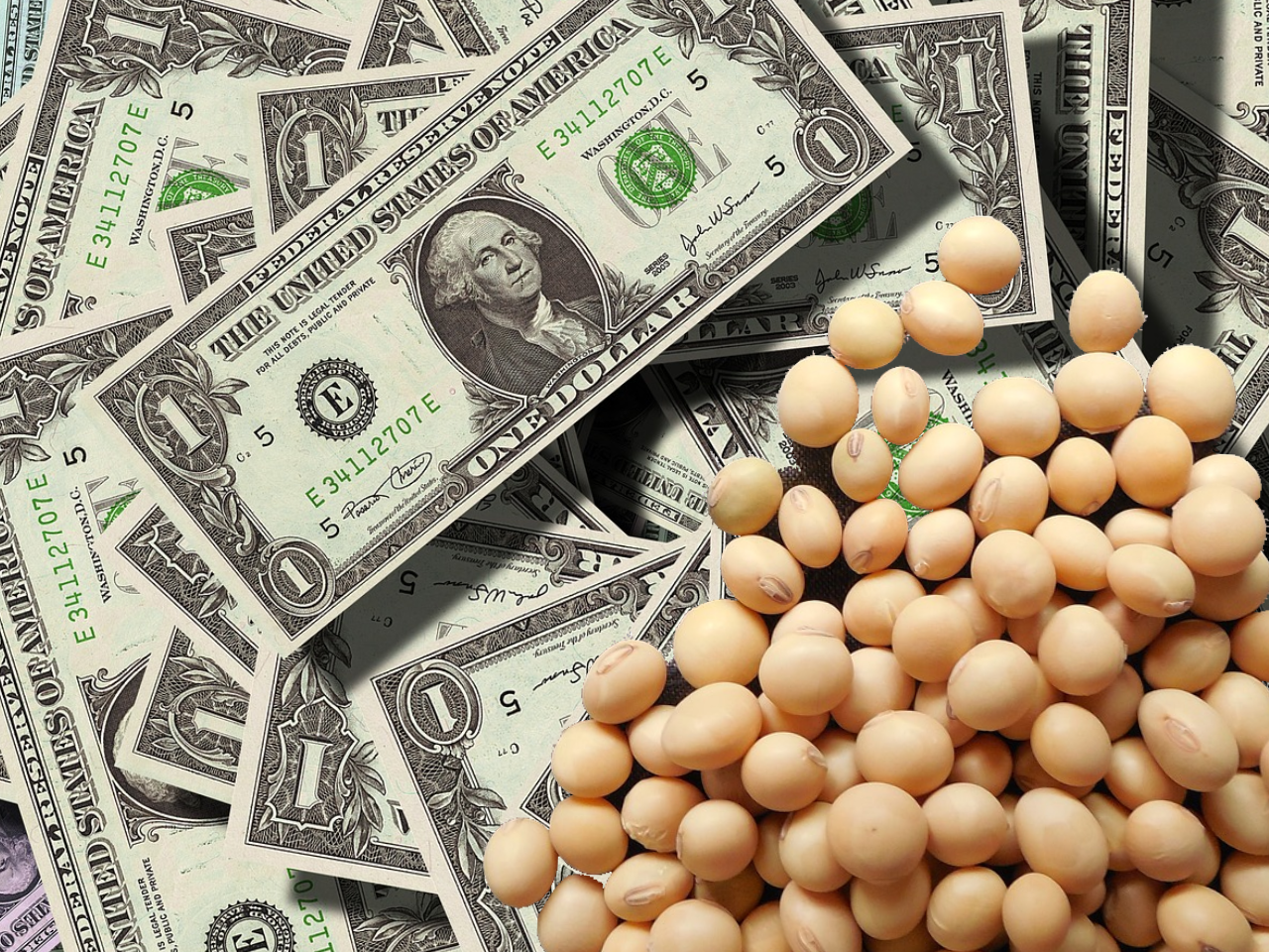 dólar soja