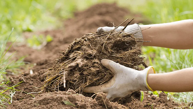 Biofertilizante Plataforma Tierra