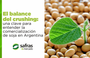 Blog Safras Latam (695 x 390 px) (600 x 390 px) (1)