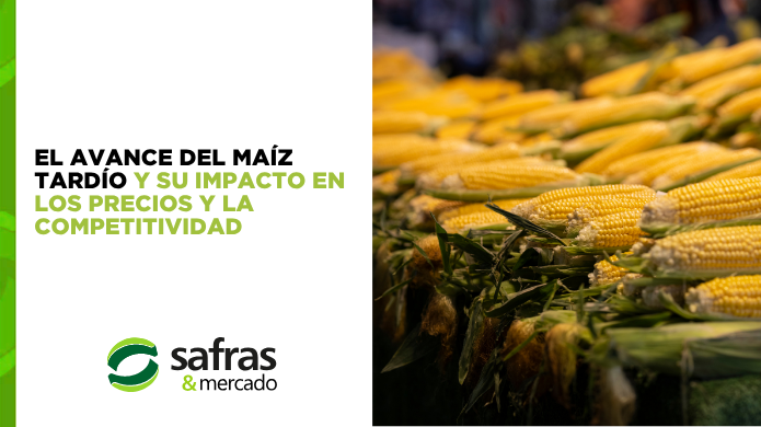 Blog Safras Latam (695 x 390 px) (1)