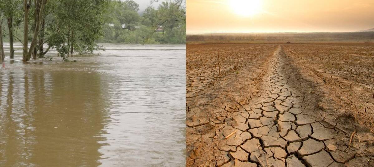 Fenomeno El Niño Diario El Tiempo