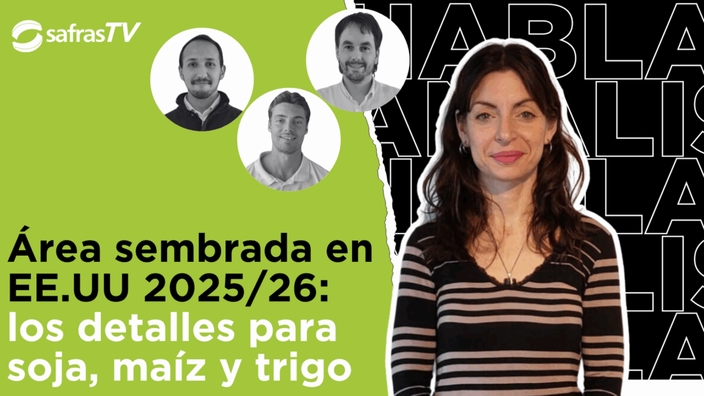 YT Thumb Latam new 4