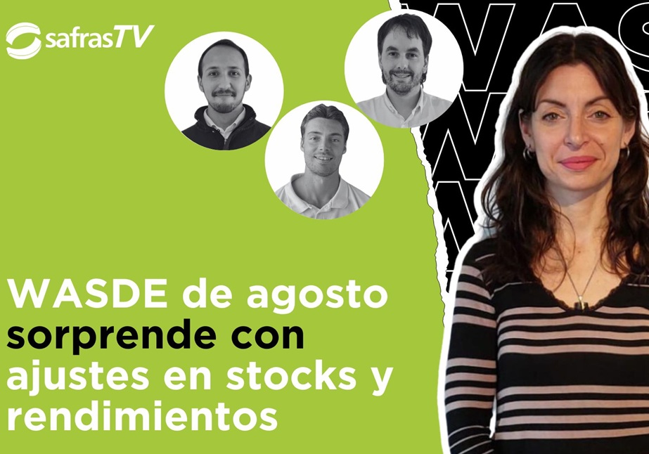 WASDE agosto