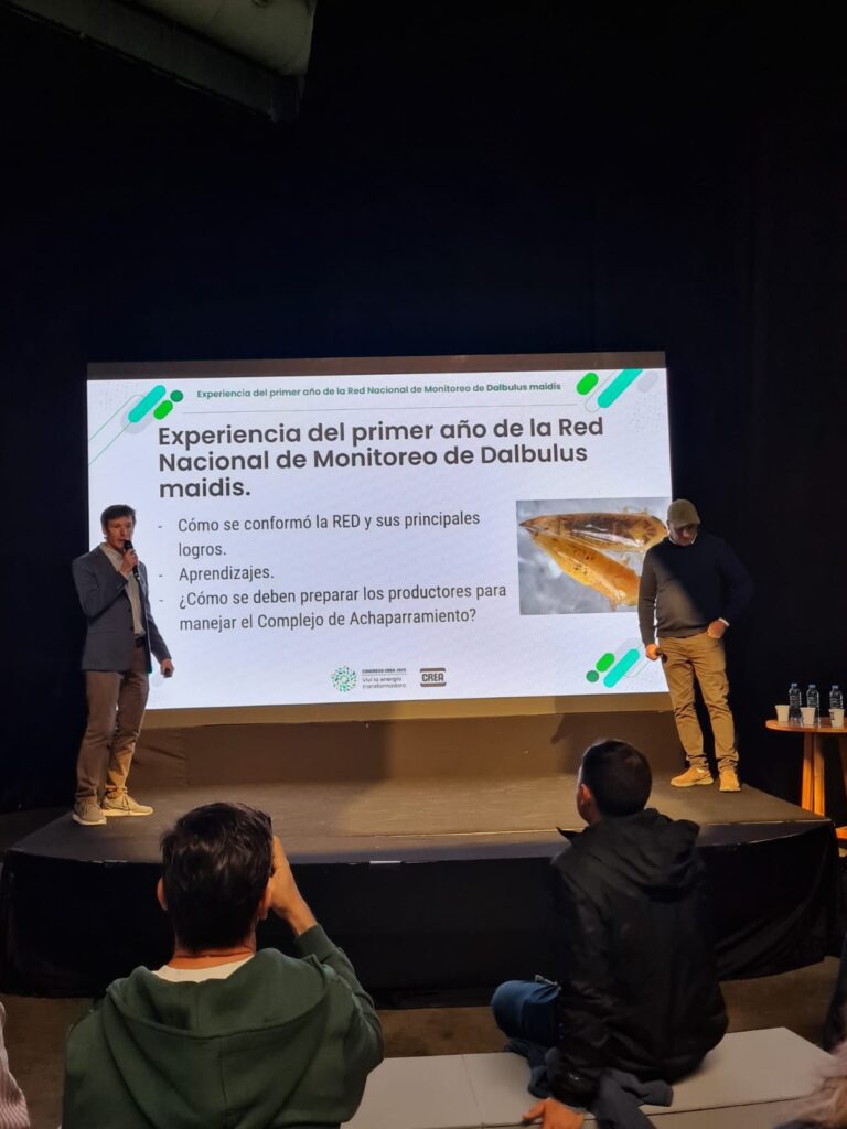 WhatsApp Image 2025 09 19 at 2.19.55 PM