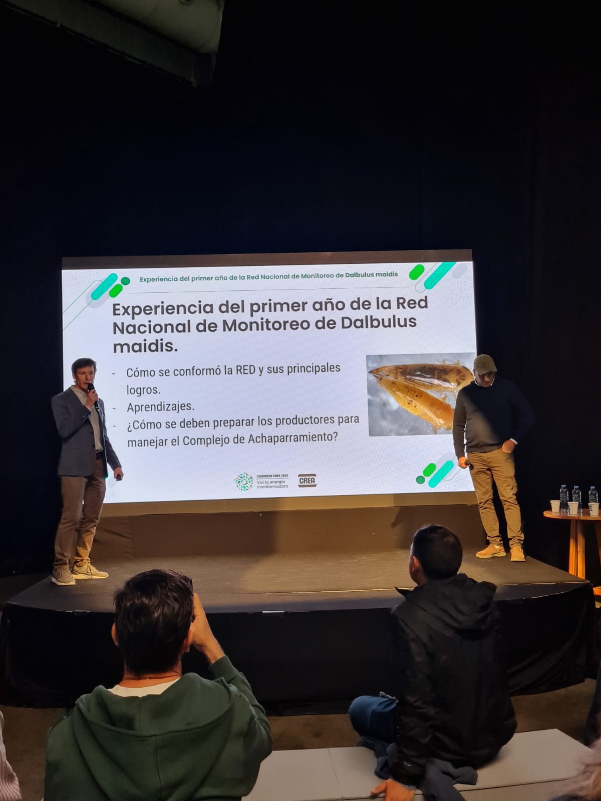 WhatsApp Image 2025 09 19 at 2.19.55 PM