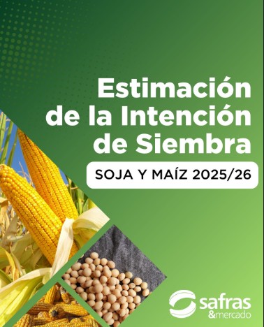 lanzamiento gruesa 2526