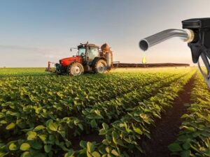 Biocombustibles Climaterra.org