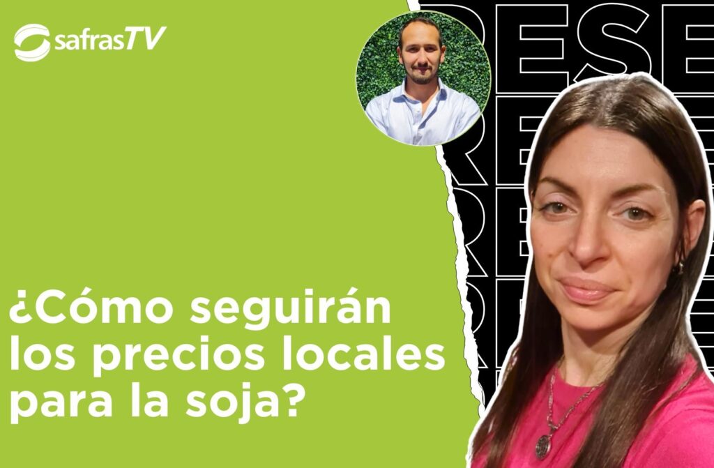 YT Thumb Latam new 14