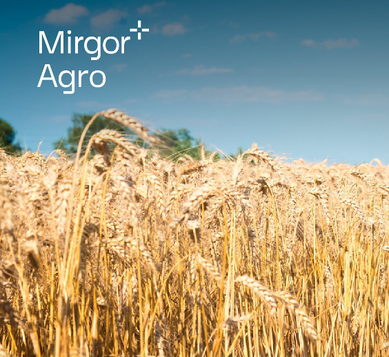 MIRGOR AGRO