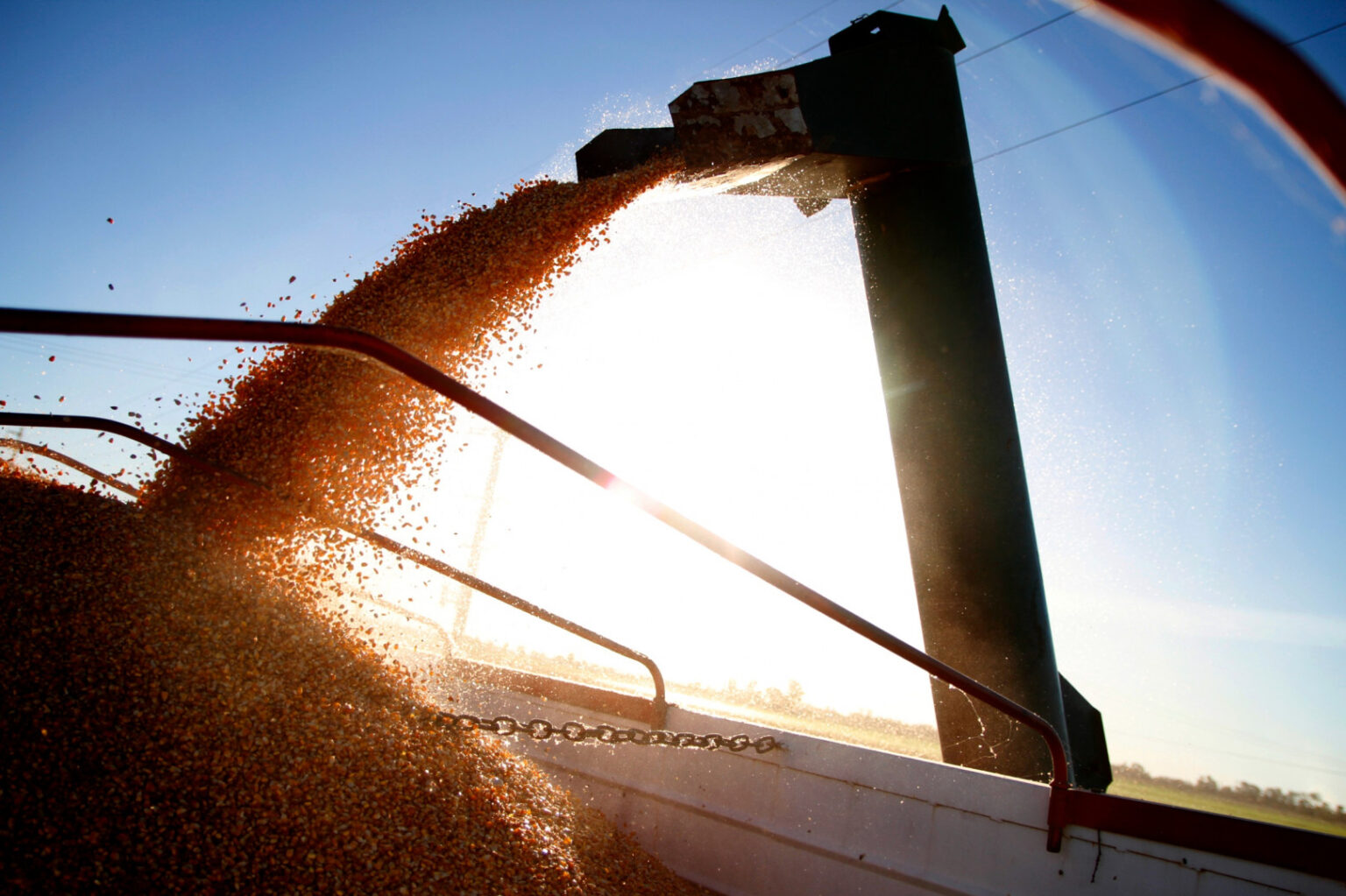 Actividad portuaria agrícola