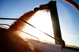 Actividad portuaria agrícola