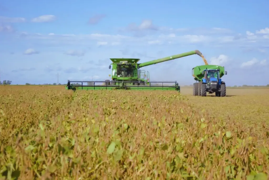 Economía argentina y política de retenciones