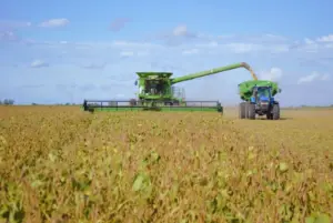 Economía argentina y política de retenciones