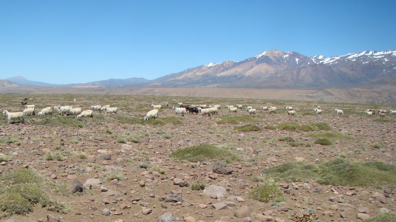 ministerio de Economía Inta