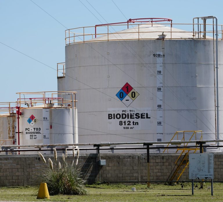 BIODIESEL CEPREB WEB