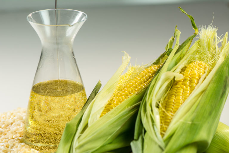 aceite de maíz 1 INTA