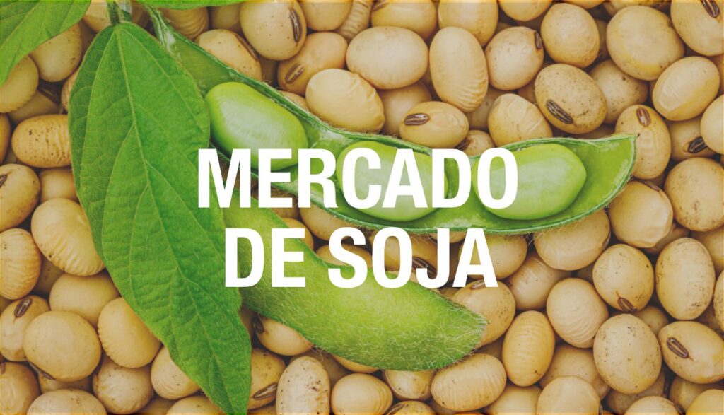 mercado de soja