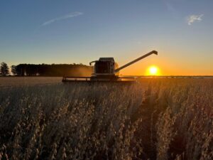 SOJA ENTRE RÍOS