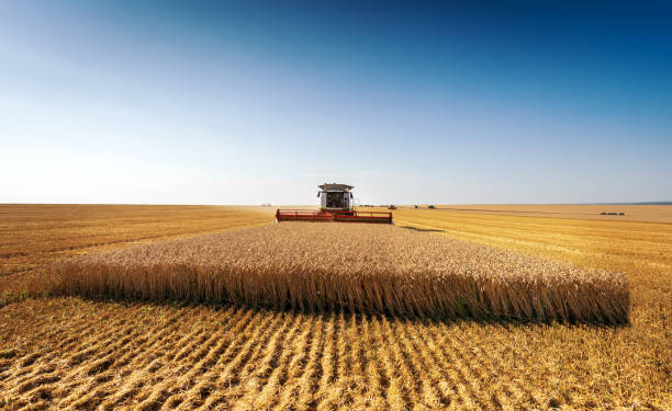 transporte agro