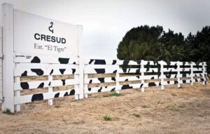 cresud