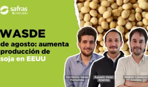 YT Thumb Latam new