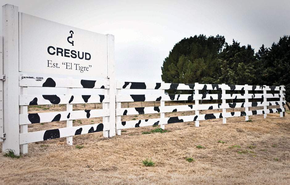 cresud