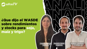 wasde outubro