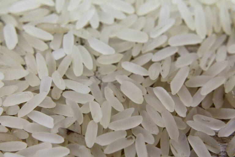 Preço do arroz perde força, mas importações ainda seguem encarecidas
